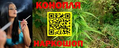 прущие грибы Туймазы