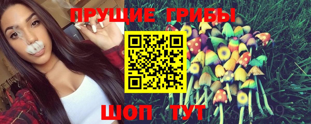 Галлюциногенные грибы Psilocybine cubensis  Вход с VPN  Первоуральск 
